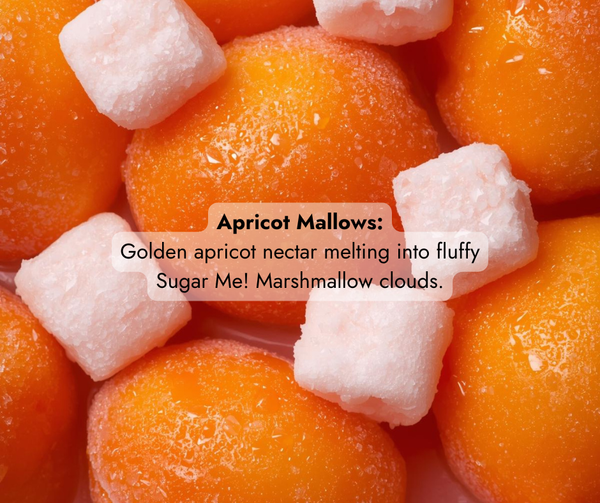 Marshmallow Collection – Scent Samples (2 mL)