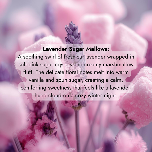 Sugar Works Christmas 2025 Pre-Order 🎄